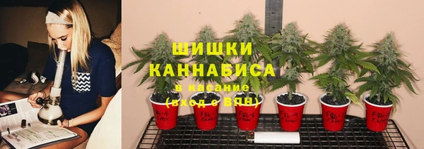 apvp Михайлов