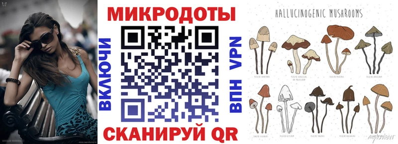 Галлюциногенные грибы Psilocybe гидра tor Дмитриев